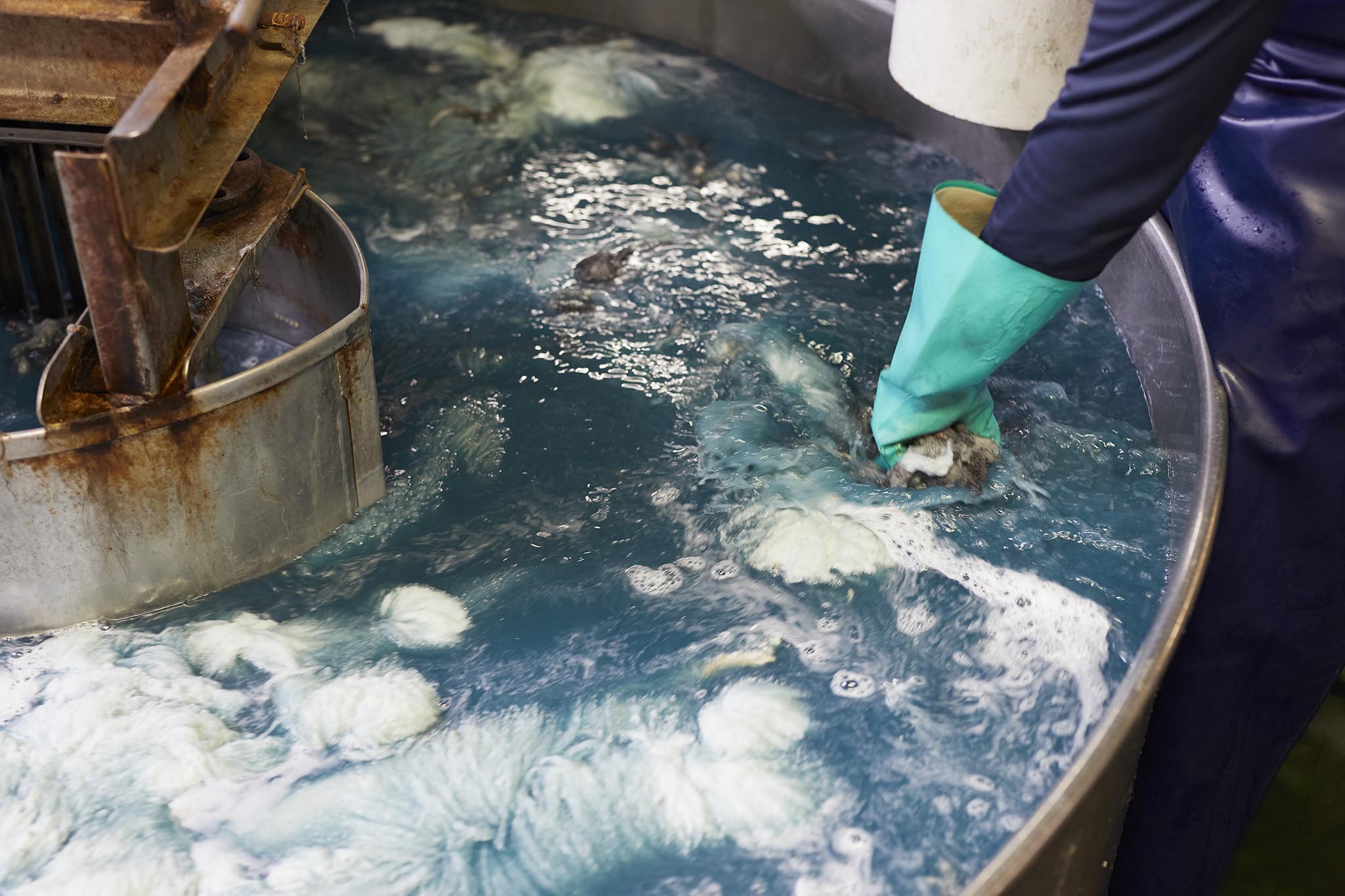 large tub or bath of water cleaning the sheepskins devonia