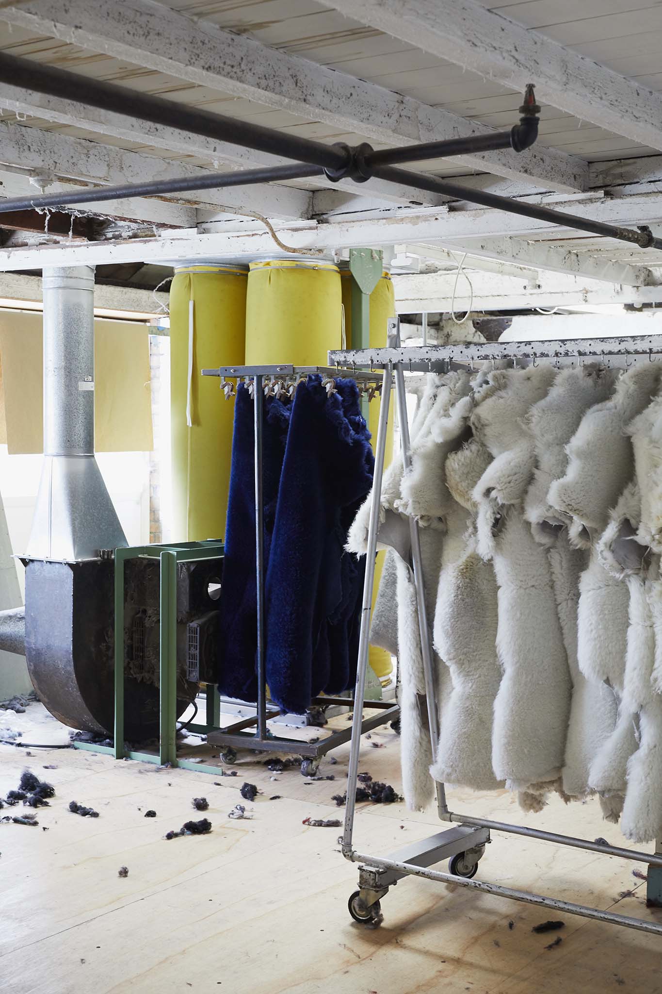 room with multiple sheepskins hanging devonia