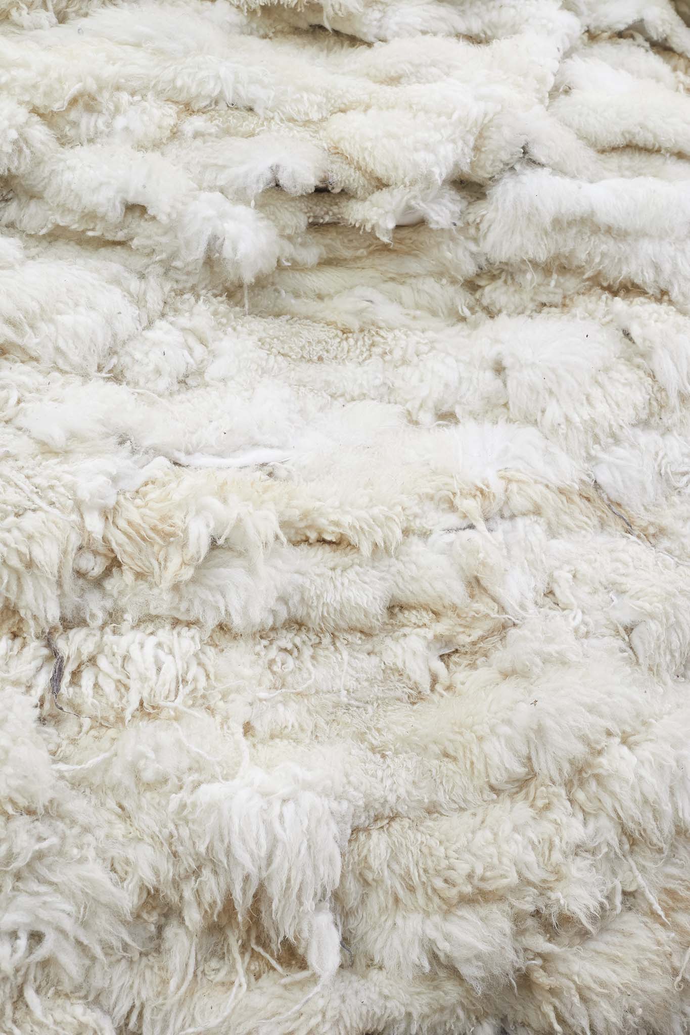 close up of clean fluffy sheepskin devonia
