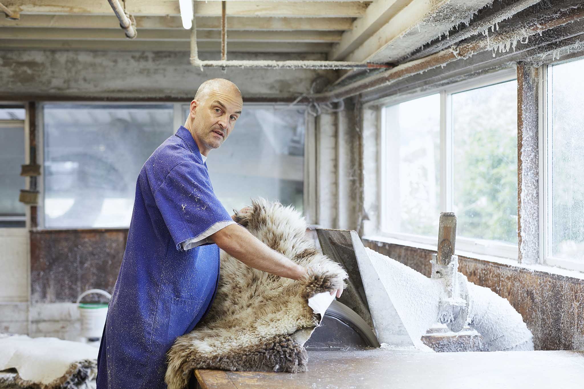 man holing sheepskins at table devonia