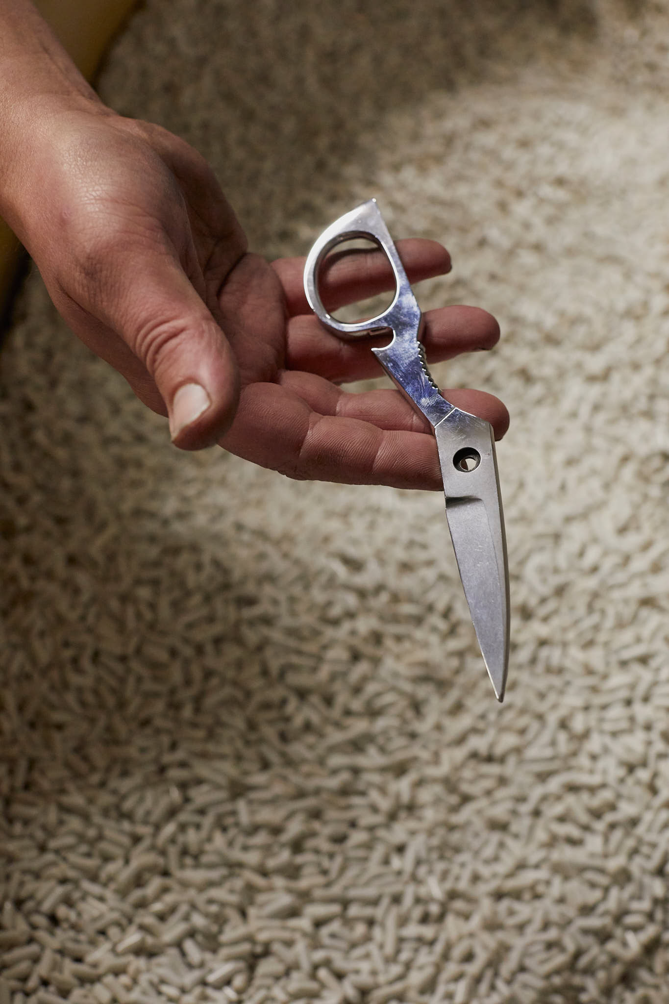 Ernest Wright hand holding scissor blade salt hardening 