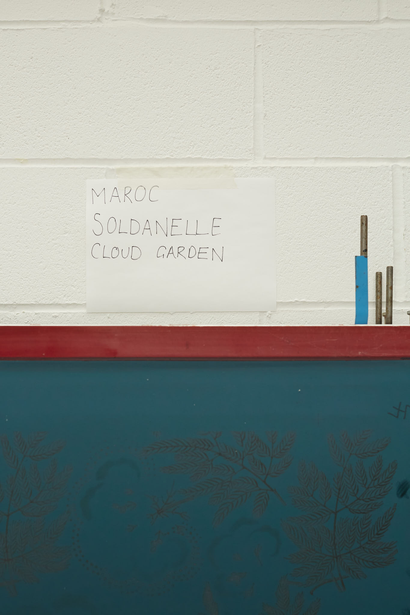 Rapture and Wright coloured wall inside of factory cream at top red and teal at the bottom