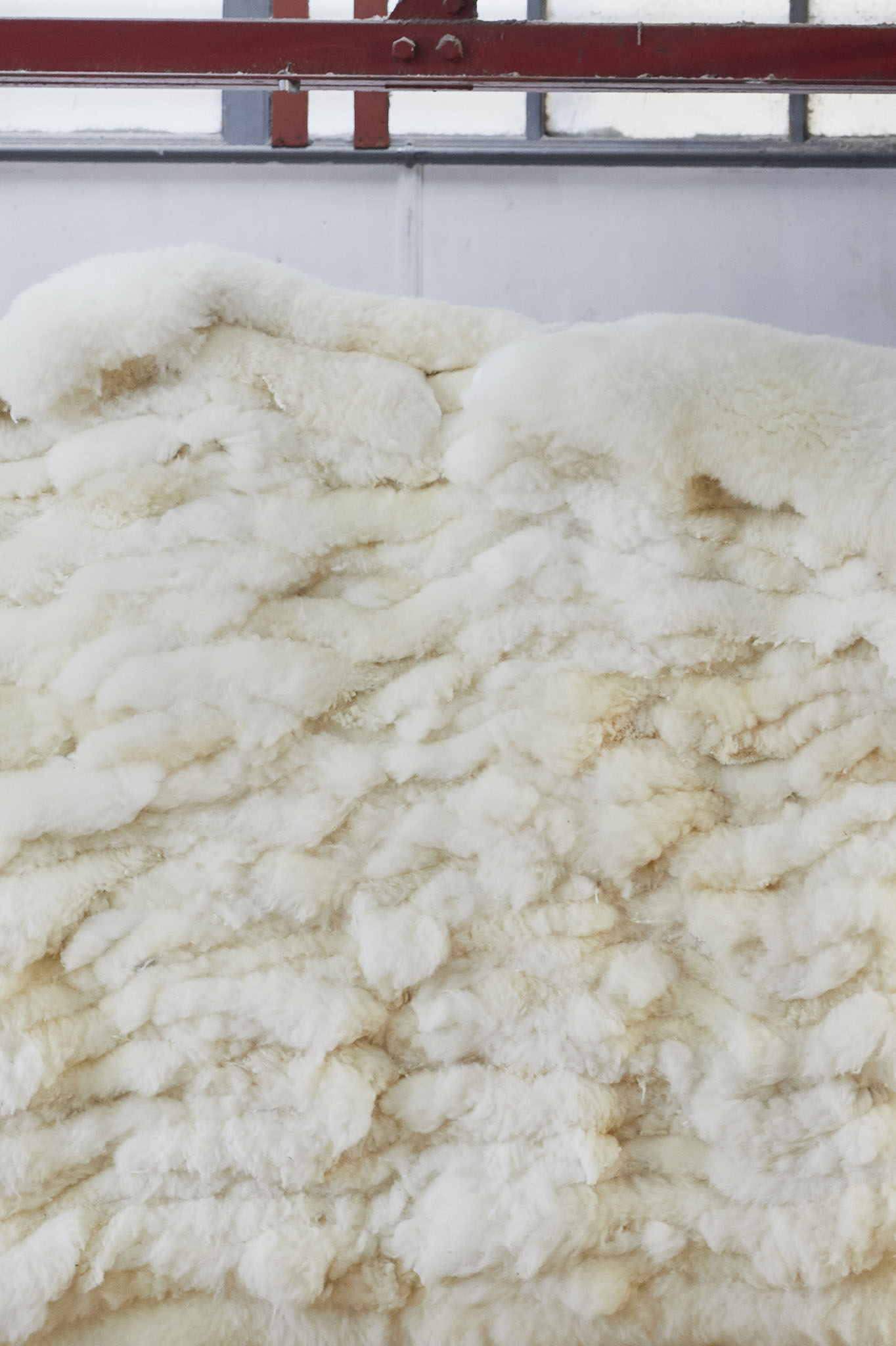 devonia large pile of sheepskins