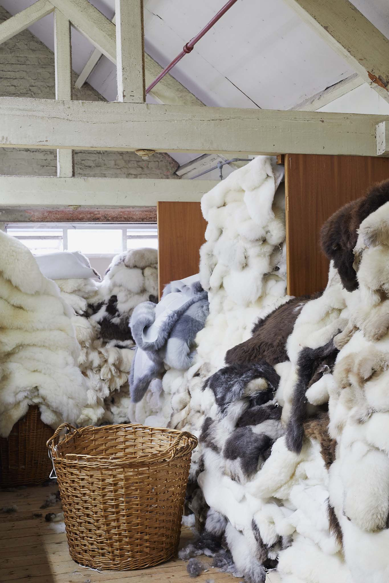 devonia room full piles white grey fluffy sheepskins