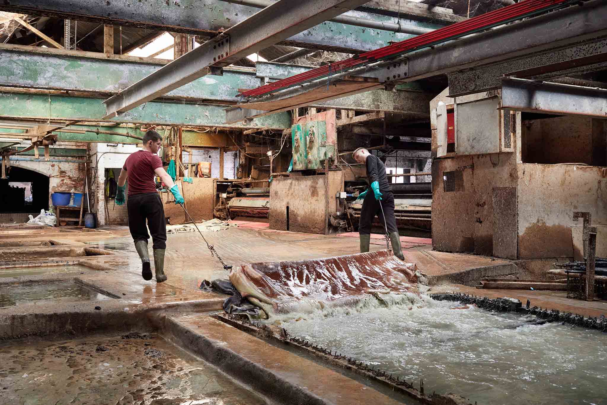 Thomas Ware and Sons inside the factory pelts being removed from water pit by two workers