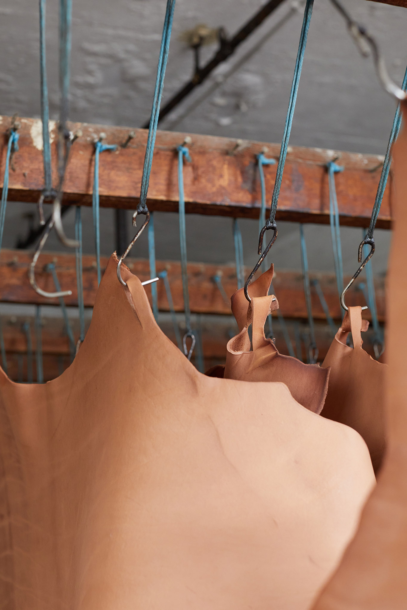 Thomas Ware and Sons inside factory close up of hanging leather drying