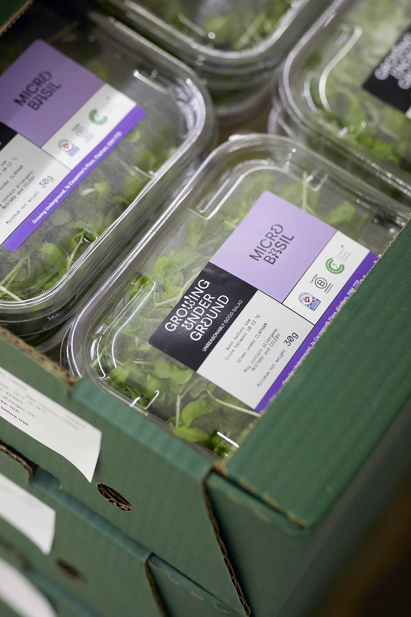 Growing Underground green box full of plastic containers labelled as micro basil