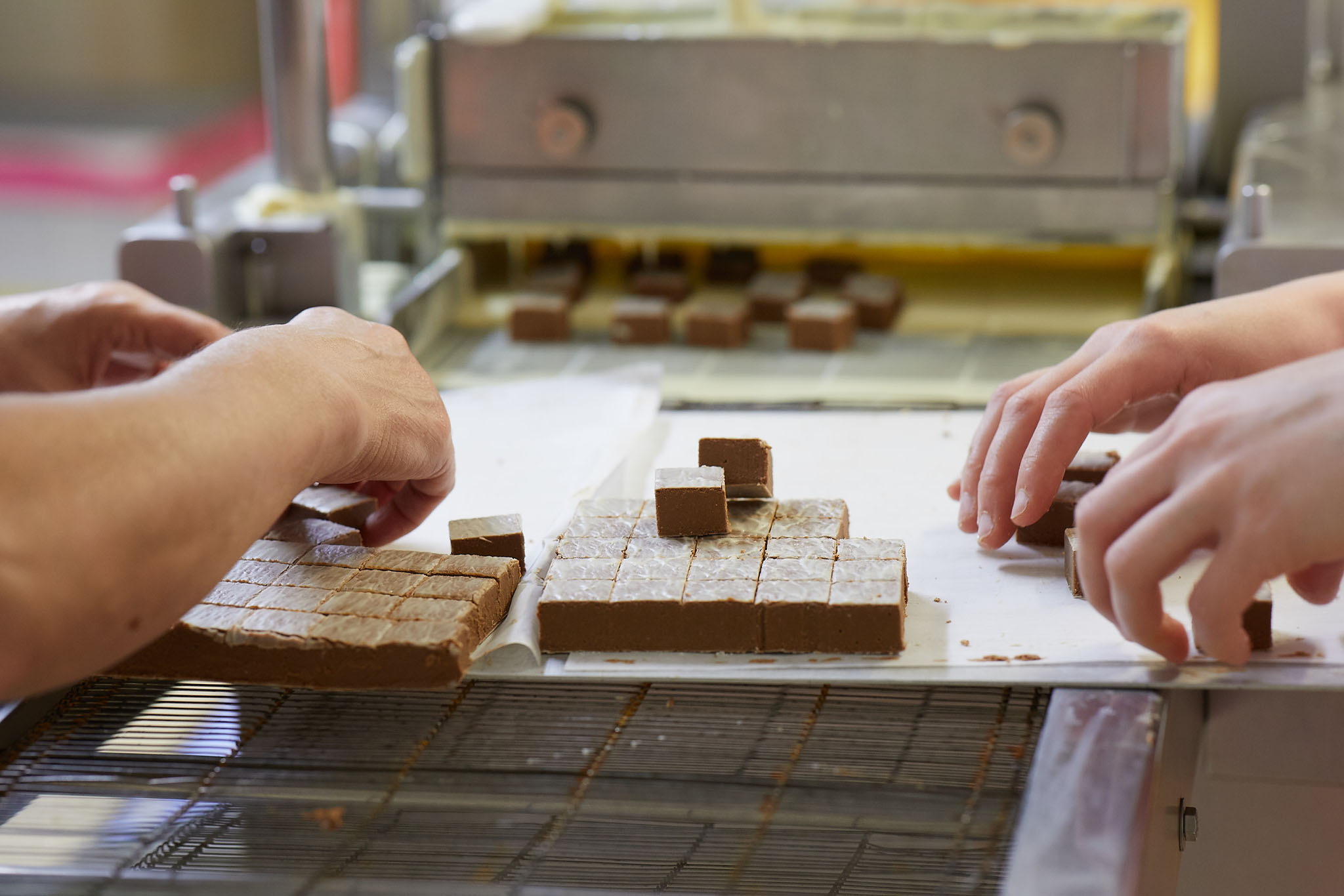 Prestat hands sorting trays of cubes of chocolates