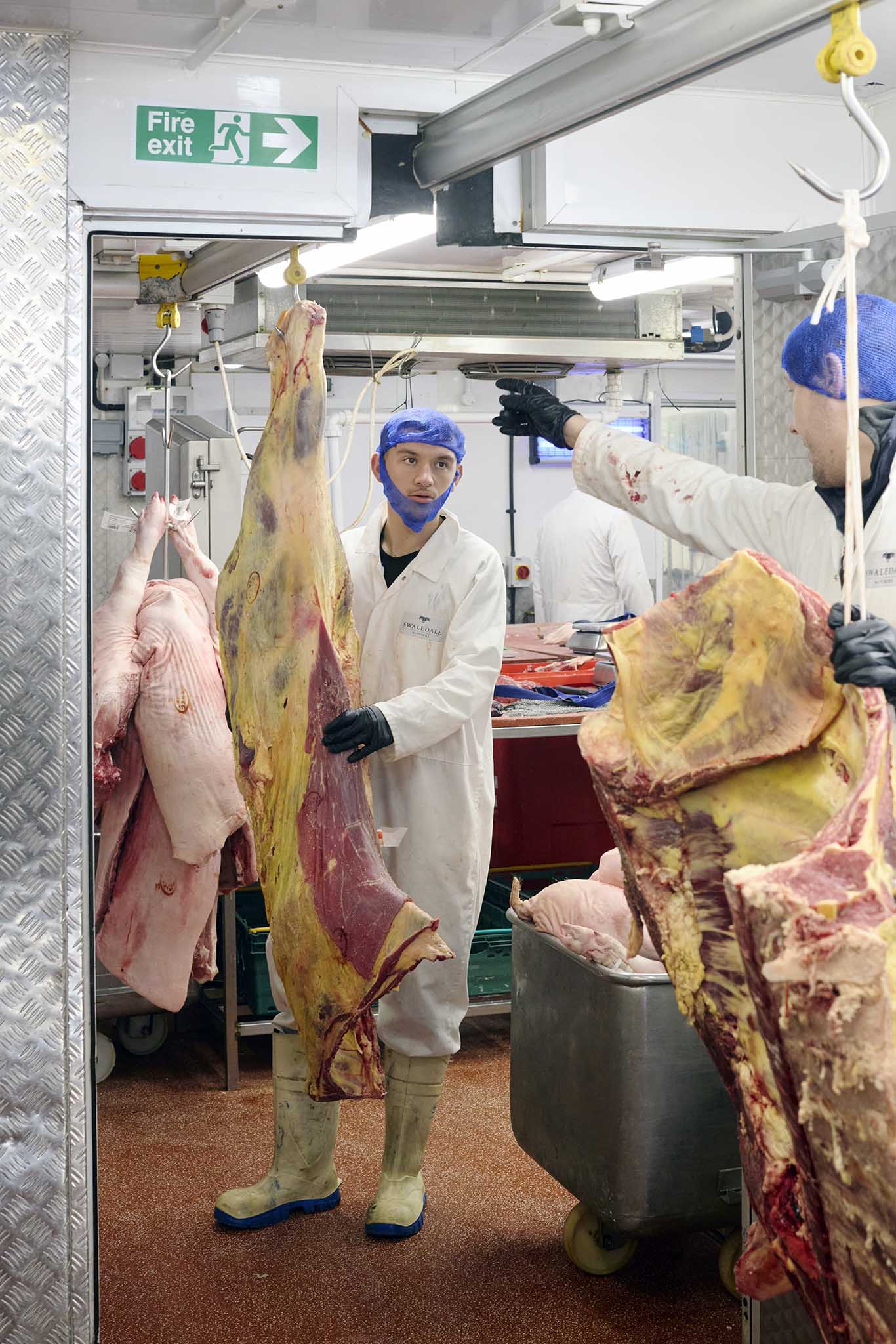Swaledale Butchers butcher holding large animal carcass hanging from ceiling