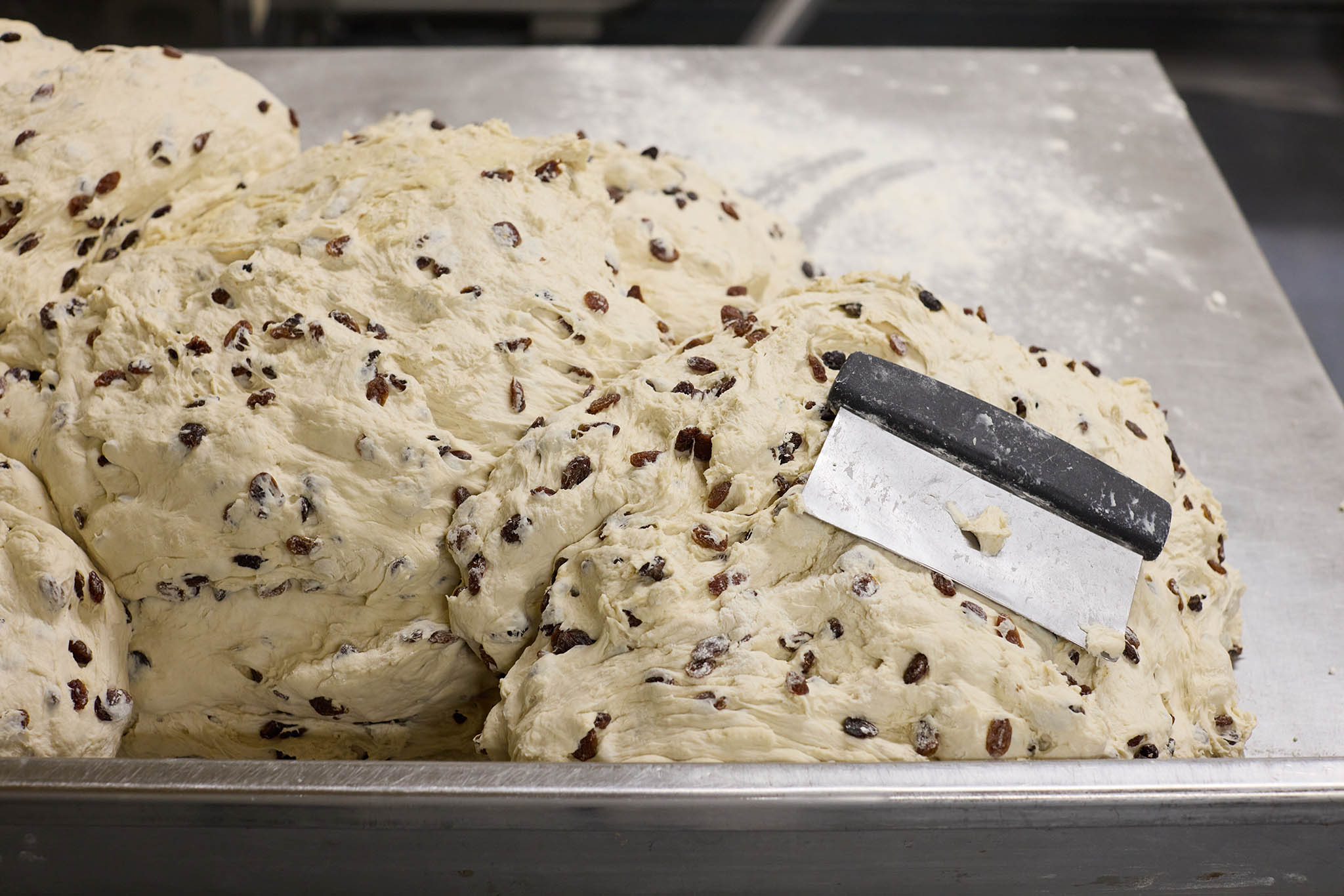 Janes Pantry large stainless steel tray of bread dough full of raisins or currants 