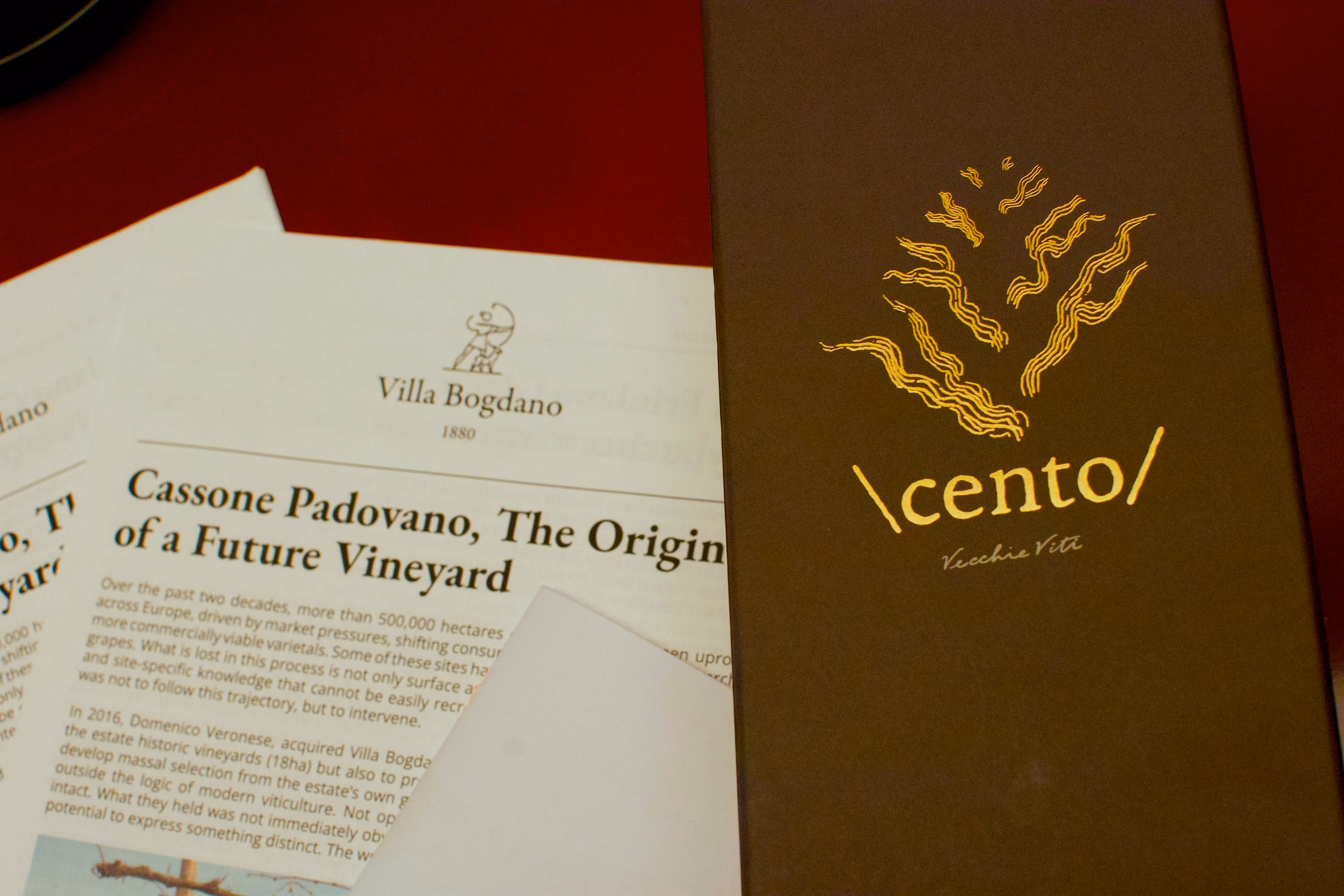 Villa Bogdano paper titled 'Cassone Padovano, The Origin of a Future Vineyard' beside a brown folder labeled cento.