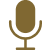 Gold Microphone Icon