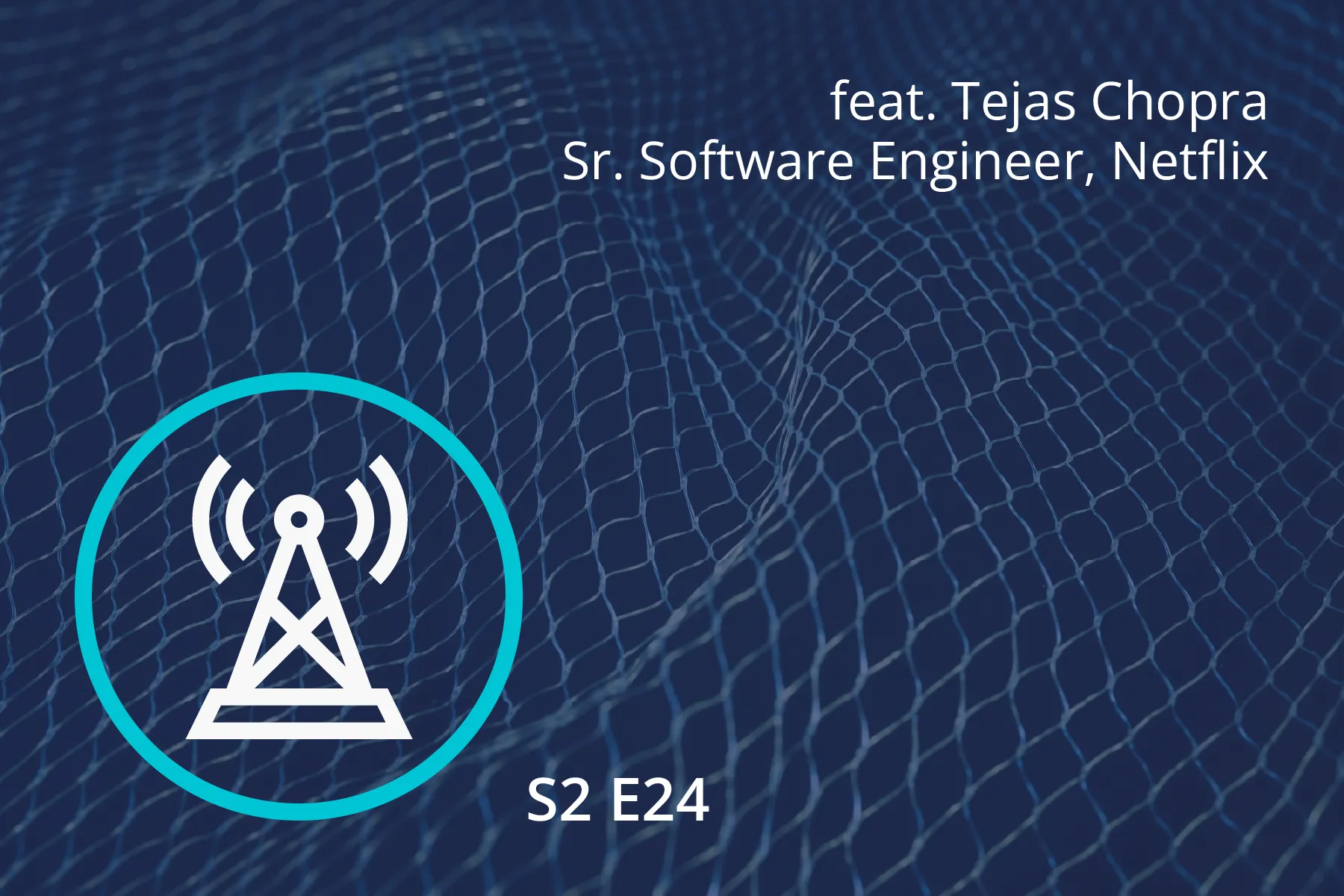 Podcast series artwork of blue netting background