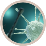 Immune Robustness and Recovery Capacity