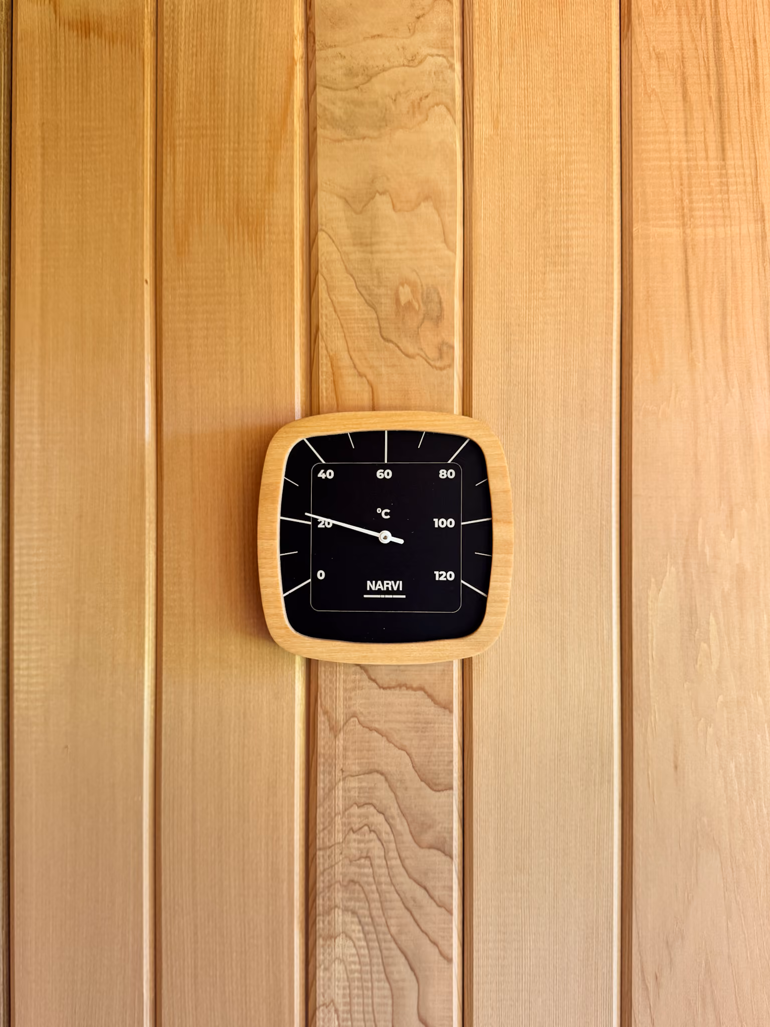 Black Thermometer