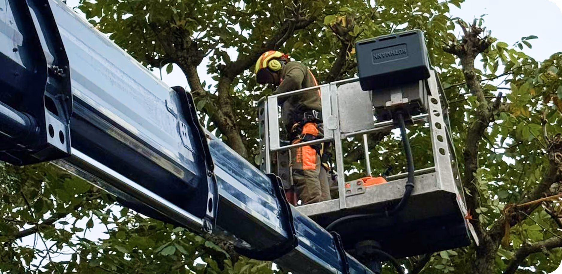 Arbeiter mit Schutzhelm und lautstärkedämpfenden Kopfhörern auf einer Hebebühne, umgeben von grünen Baumblättern.