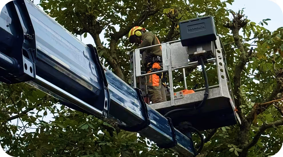 Ein Arbeiter mit Schutzhelm steht in einem Hubwagen und schneidet Äste von einem Baum.