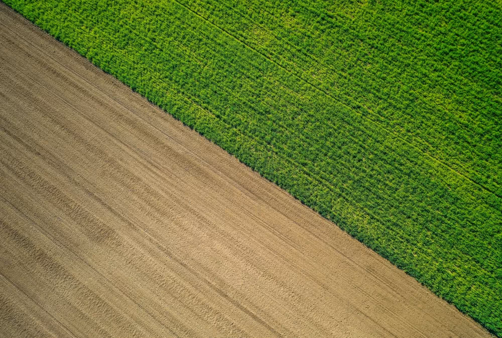 Livestock Production — detail view