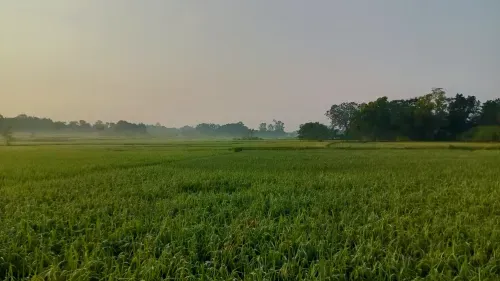 Zakat: What It Is, How to Calculate It, and Where Your Zakat Goes — UMMA Farm