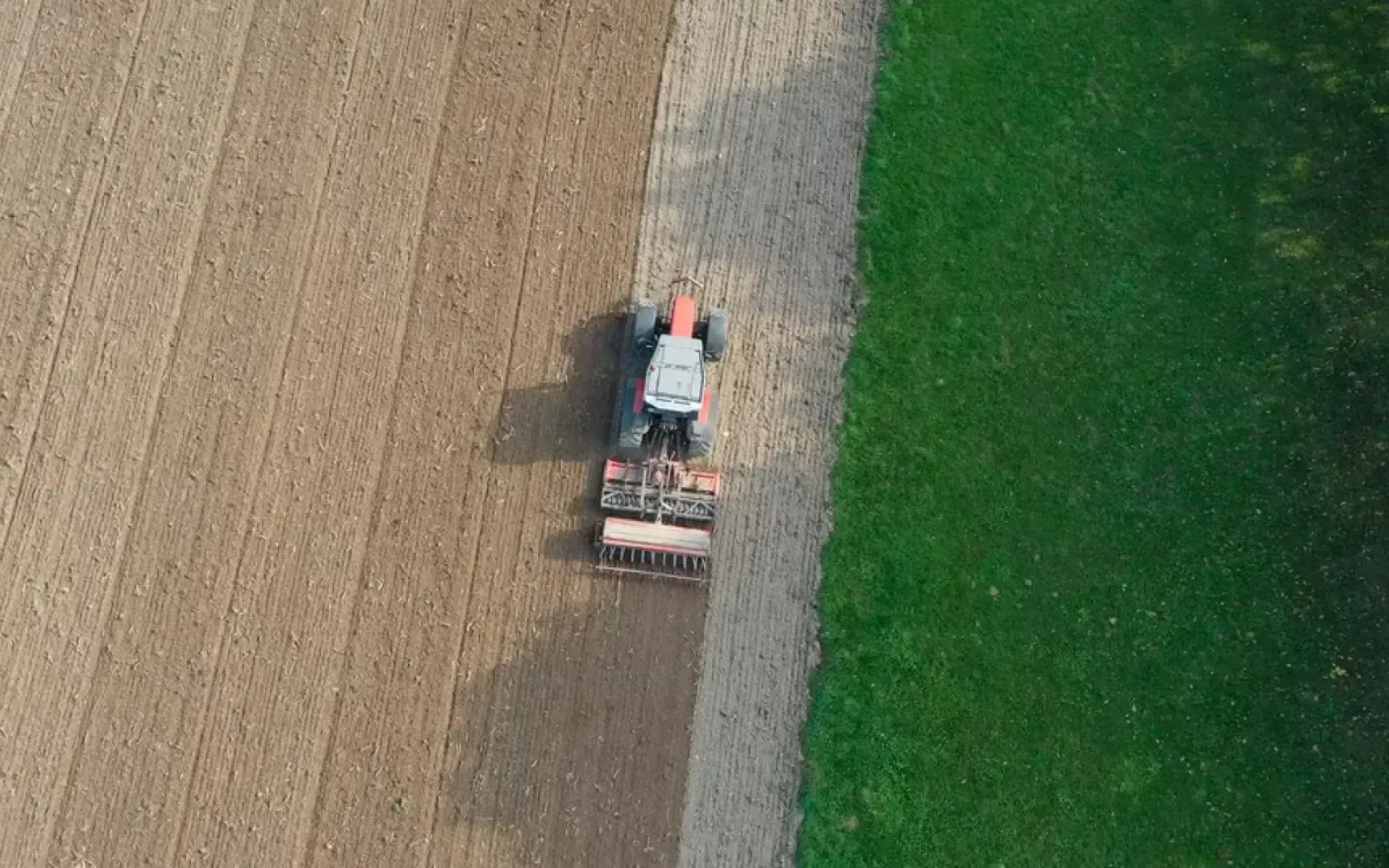 About Livestock Production