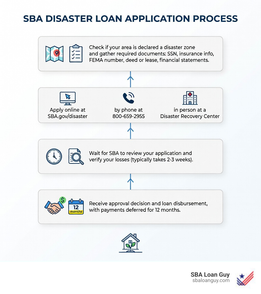 Infographic showing the SBA Disaster Loan application process in 4 steps: Step 1 - Check if your area is declared a disaster zone and gather required documents (SSN, insurance info, FEMA number, deed or lease, financial statements). Step 2 - Apply online at SBA.gov/disaster, by phone at 800-659-2955, or in person at a Disaster Recovery Center. Step 3 - Wait for SBA to review your application and verify your losses (typically takes 2-3 weeks). Step 4 - Receive approval decision and loan disbursement, with payments deferred for 12 months. - SBA Disaster Loans infographic 