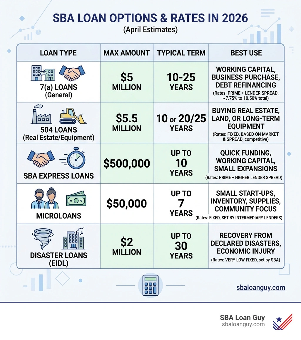Table comparing SBA loan types and interest rates - SBA loan payment calculator infographic 