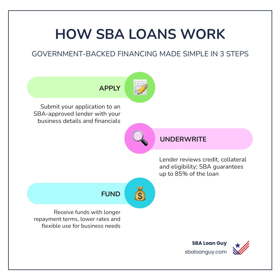 How SBA loans work: government guarantee, lender types, loan programs, and approval process infographic
