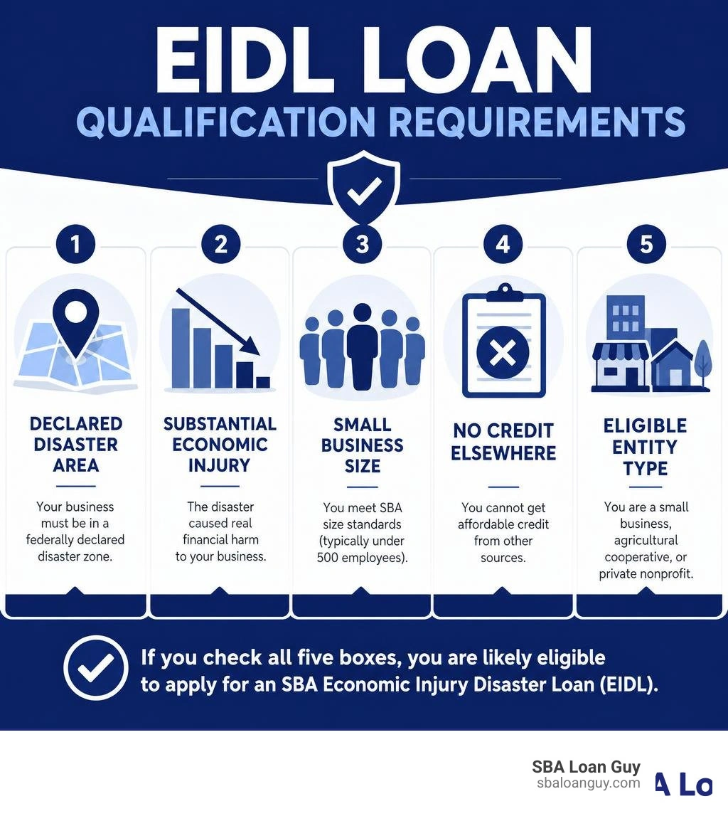 Infographic showing EIDL loan qualification requirements: disaster area location, economic injury, small business size, no Infographic showing EIDL loan qualification requirements: disaster area location, economic injury, small business size, no