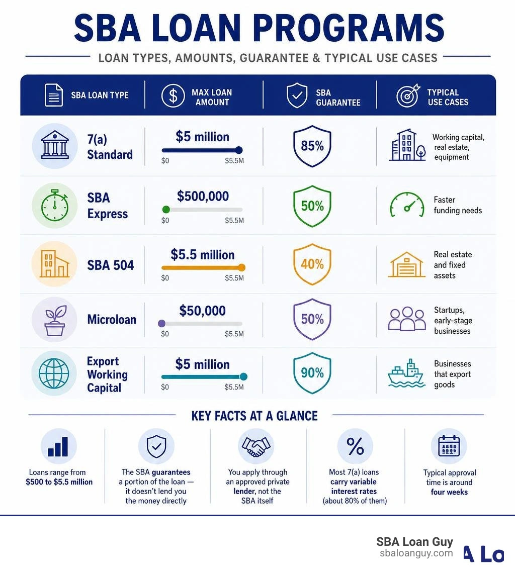 Infographic showing SBA loan types, amounts, guarantee percentages, and typical use cases infographic Infographic showing SBA loan types, amounts, guarantee percentages, and typical use cases infographic