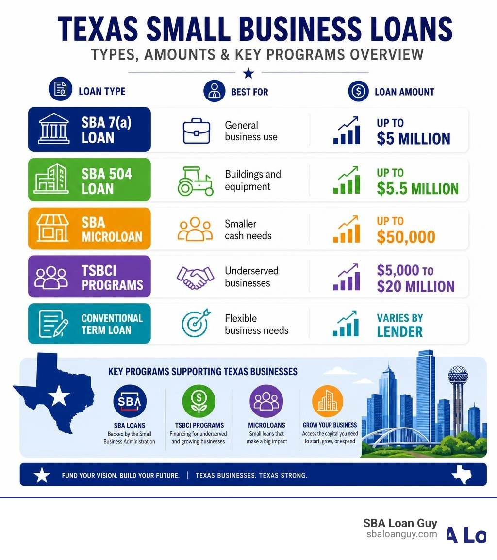 Texas small business loan types, amounts, and key programs overview infographic infographic Texas small business loan types, amounts, and key programs overview infographic infographic