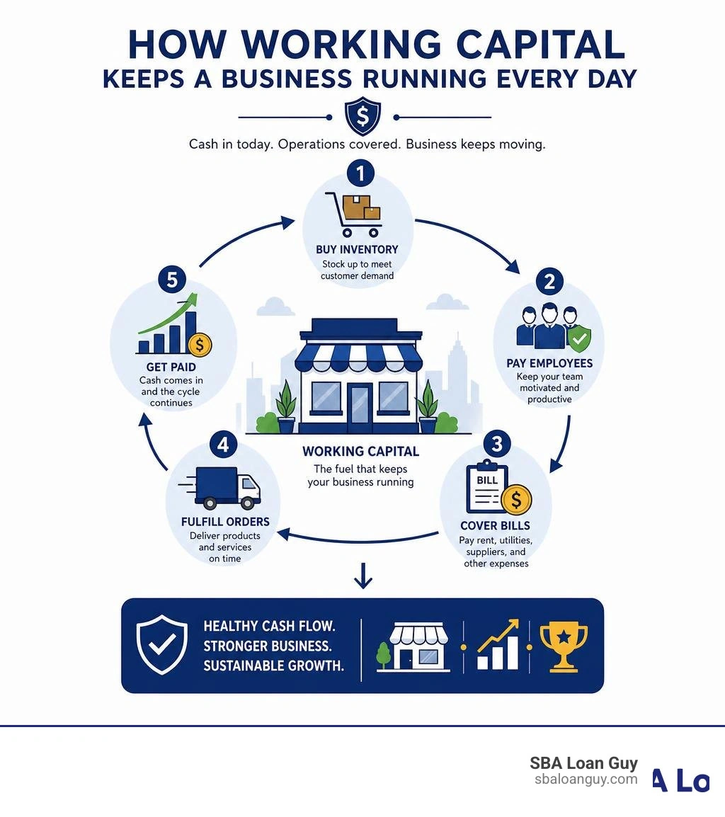 Infographic showing how working capital keeps a business running every day infographic Infographic showing how working capital keeps a business running every day infographic