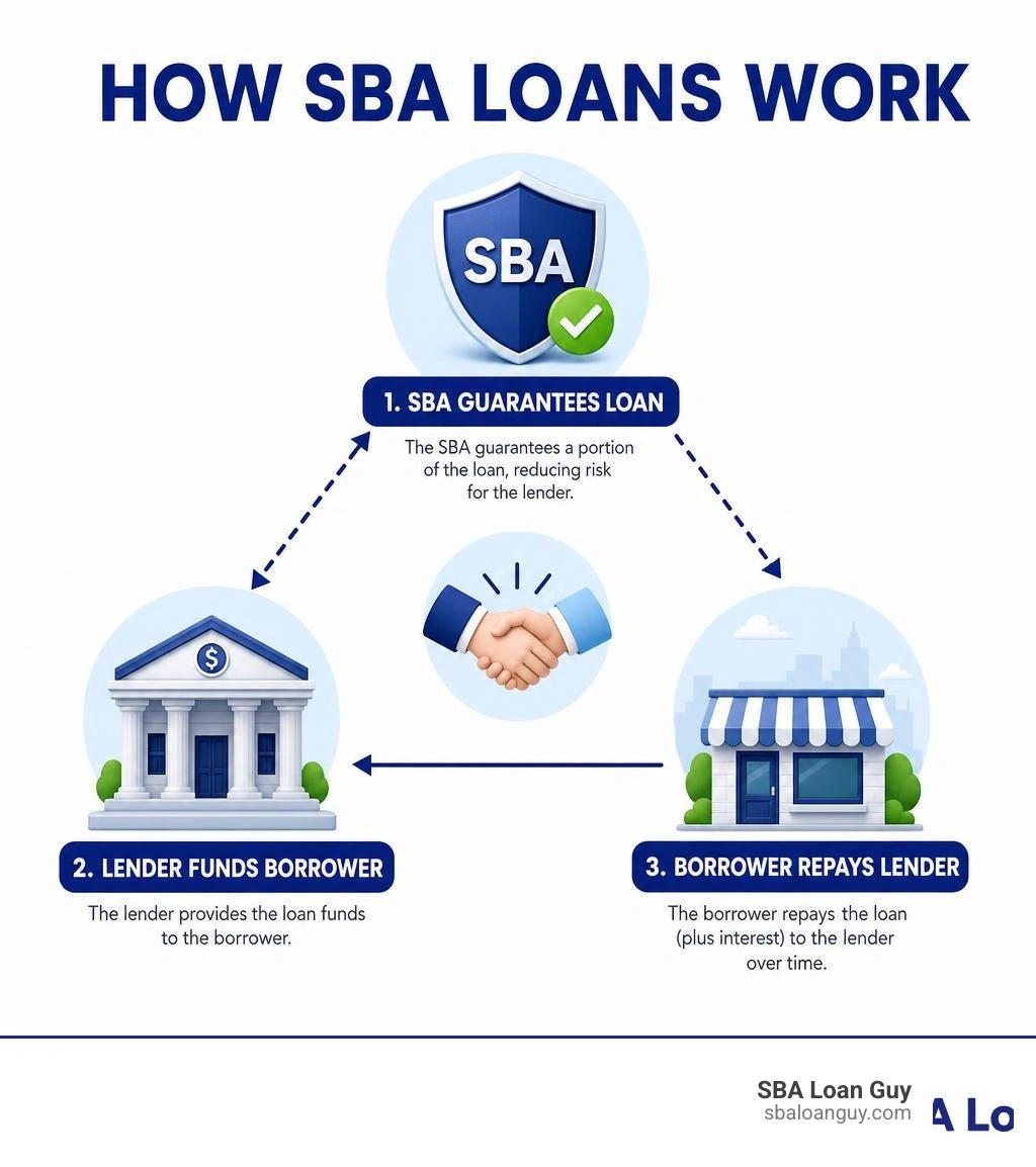 Infographic showing how SBA loans work: SBA guarantees loan, lender funds borrower, borrower repays lender infographic