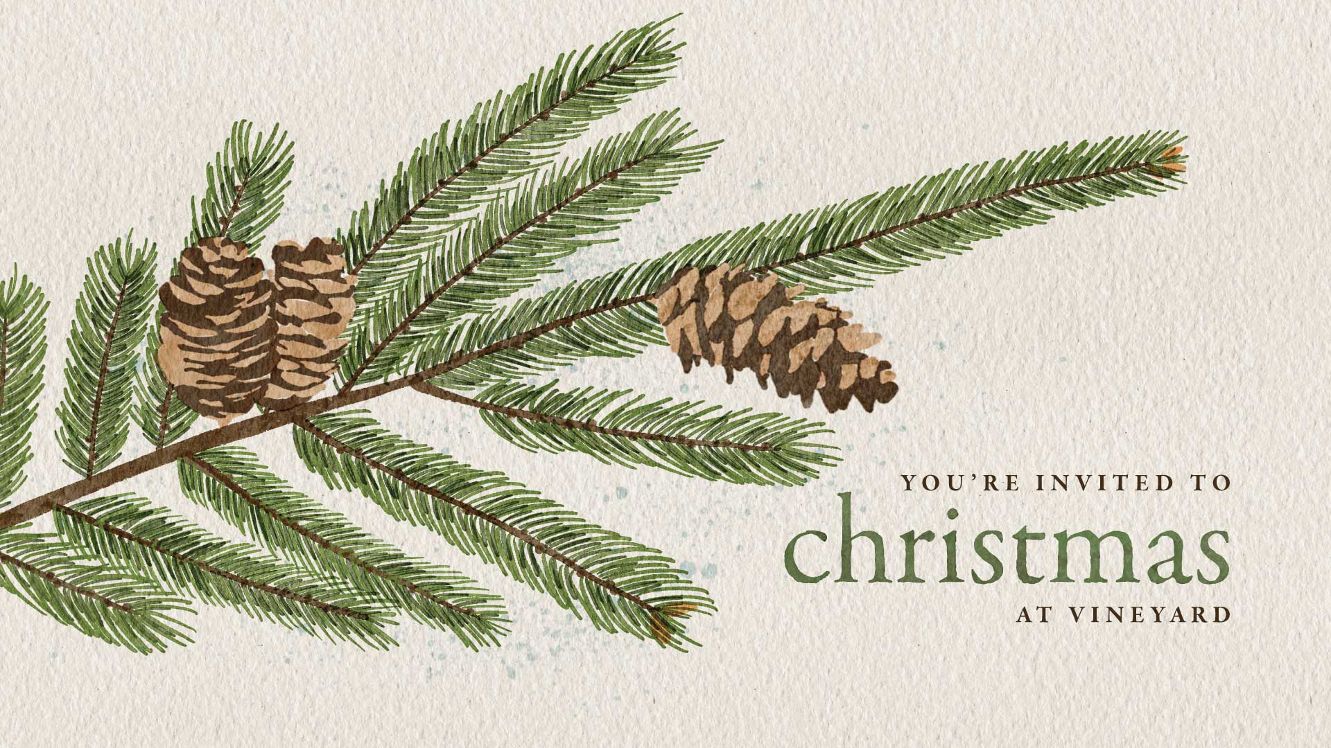 Christmas at Vineyard 2025