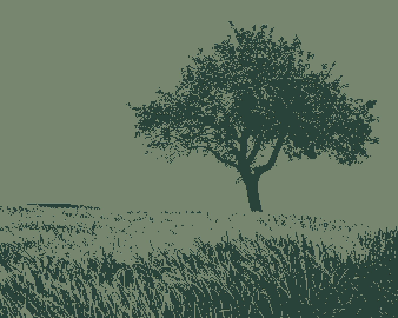 Indoor event setup with a small stage, a person working at a table with laptops, audio equipment, and a projector screen with blue curtains in the background.