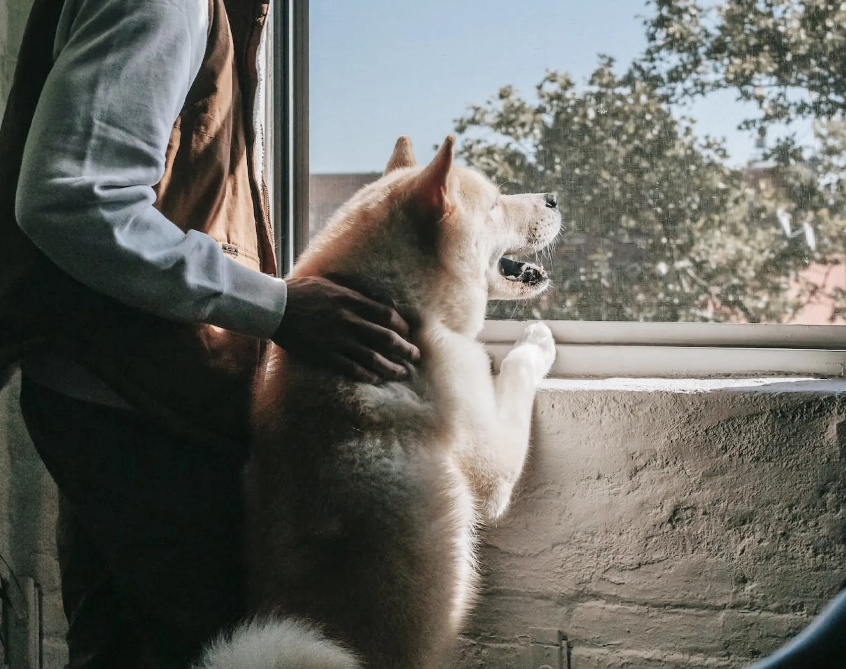 Vartical Accordion Image