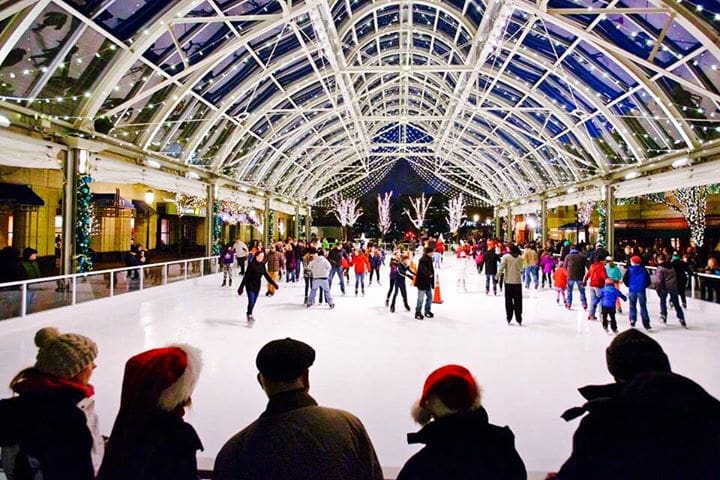 Ice Skating & Skate Shop (Seasonal)