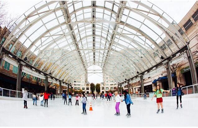 Ice Skating & Skate Shop (Seasonal)