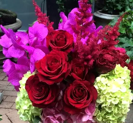 Mayflowers
