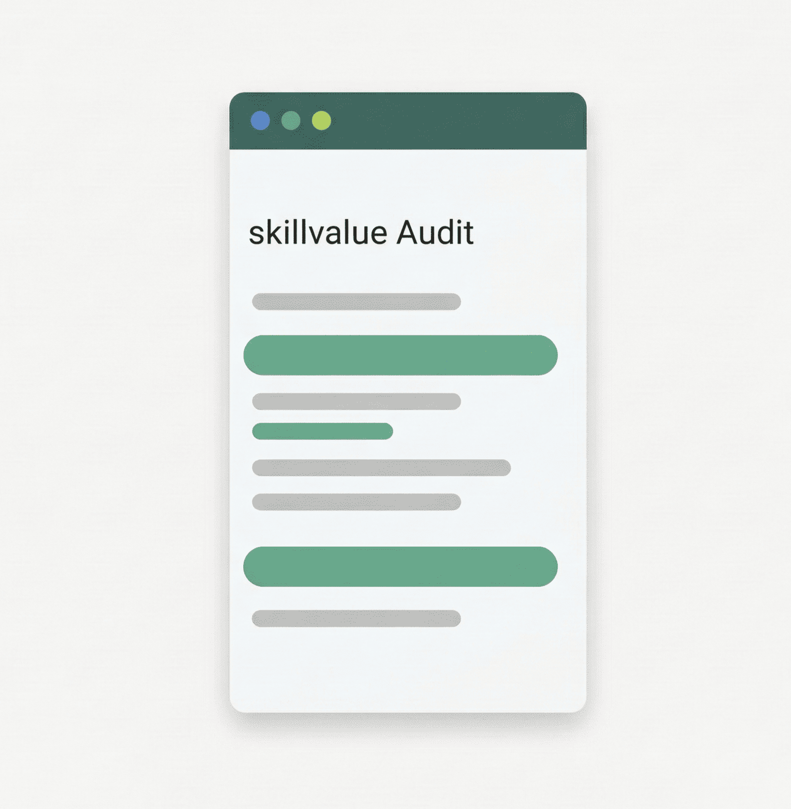 Skillvalue Audit
