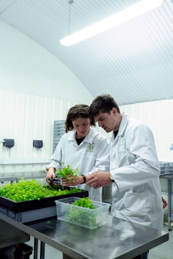 Engineers harvest crops from sustainable indoor farm