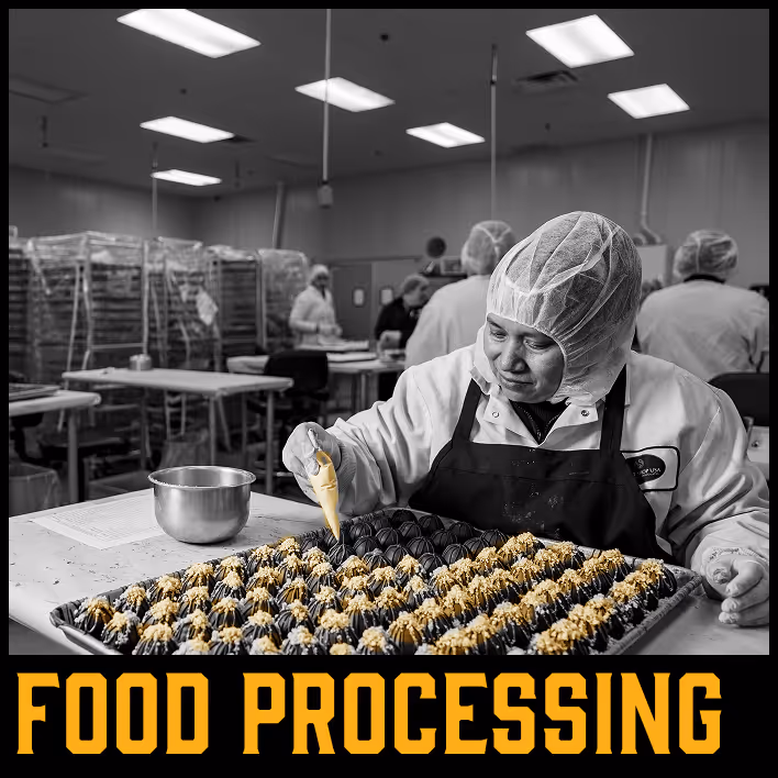 Worker in hairnet and apron decorating chocolates in a food processing facility.
