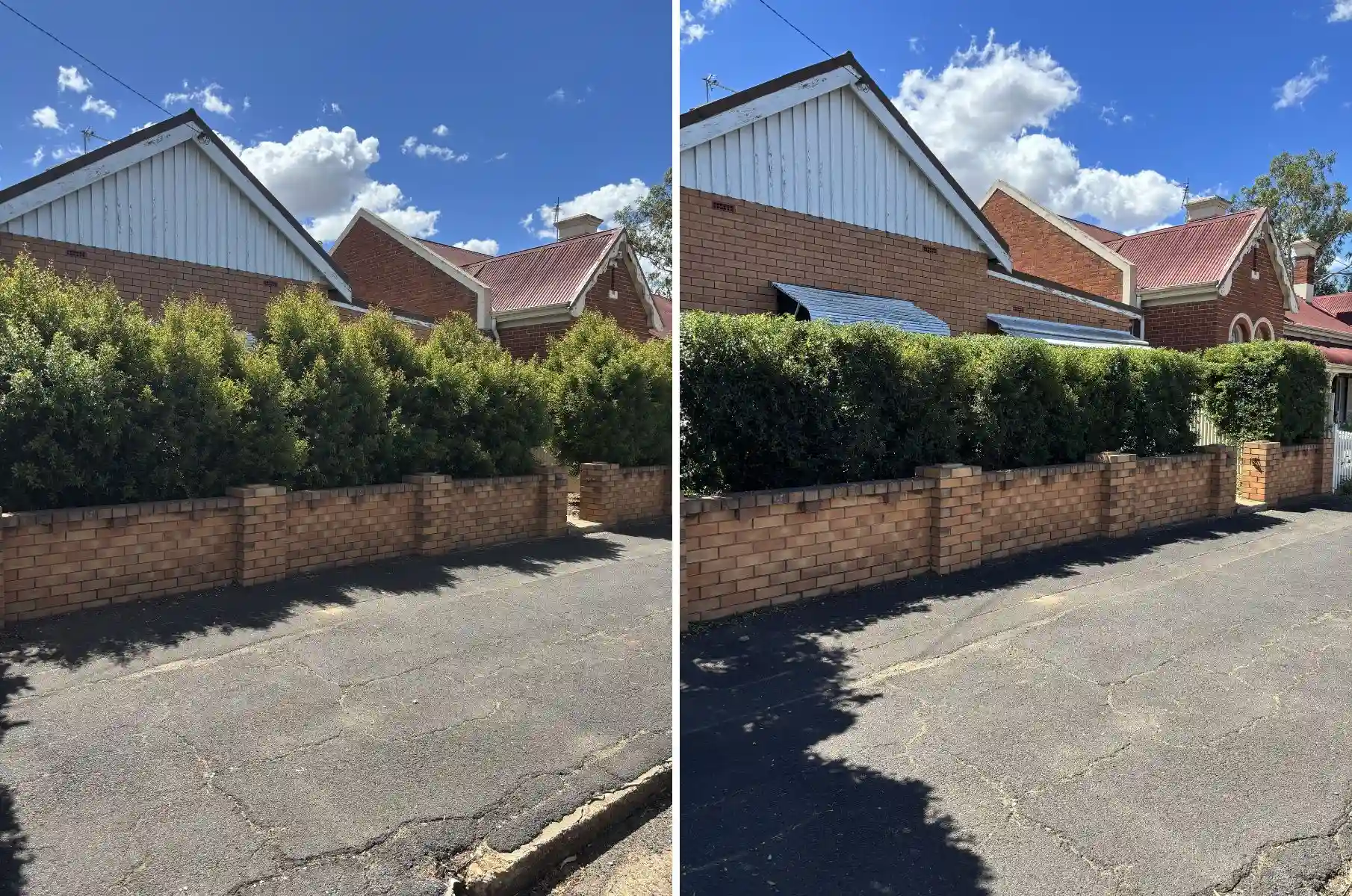 before and after hedge trimming and front yard tidy up in Dubbo NSW