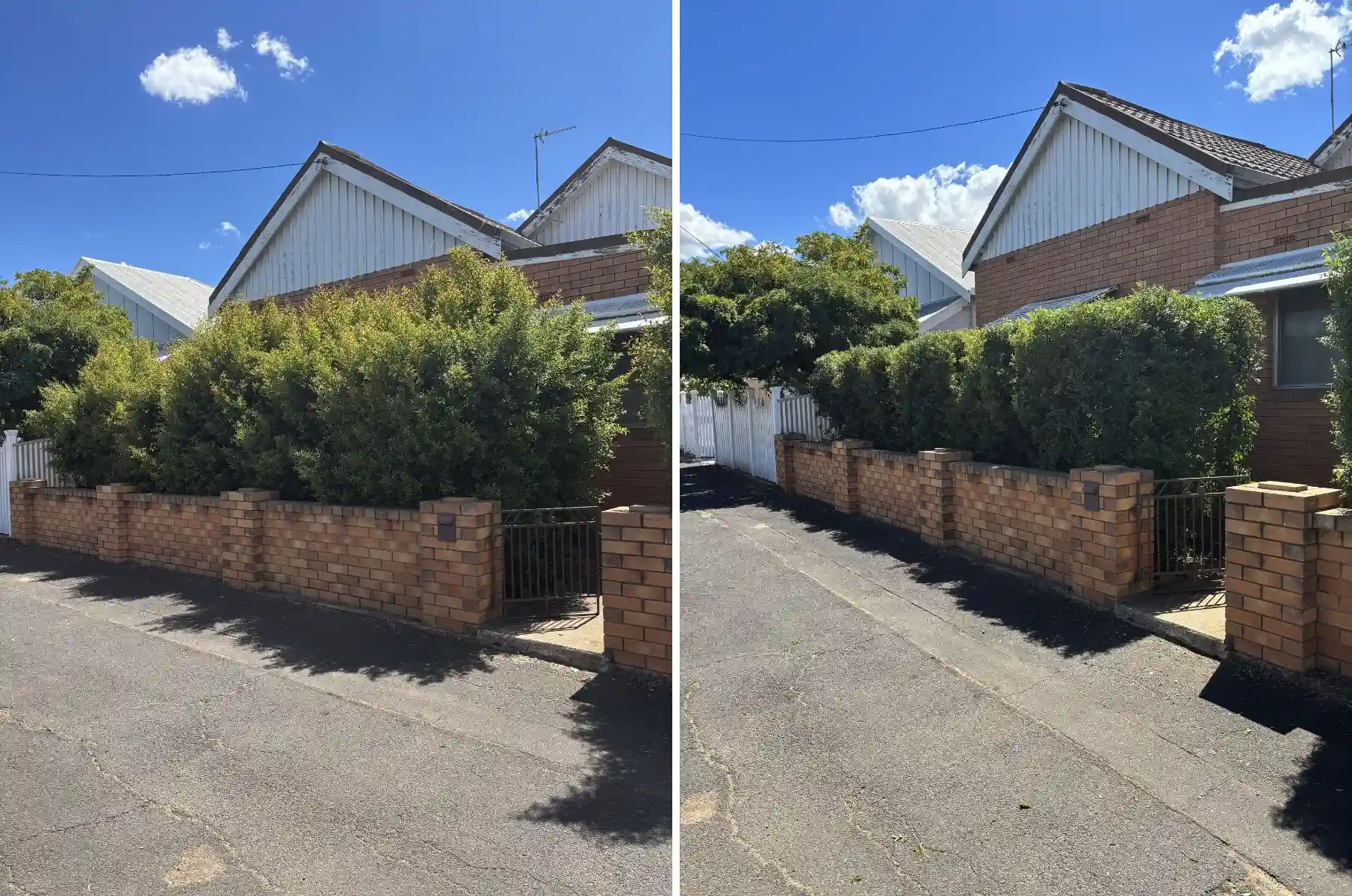before and after overgrown hedge reshaped and cleaned up in Dubbo NSW