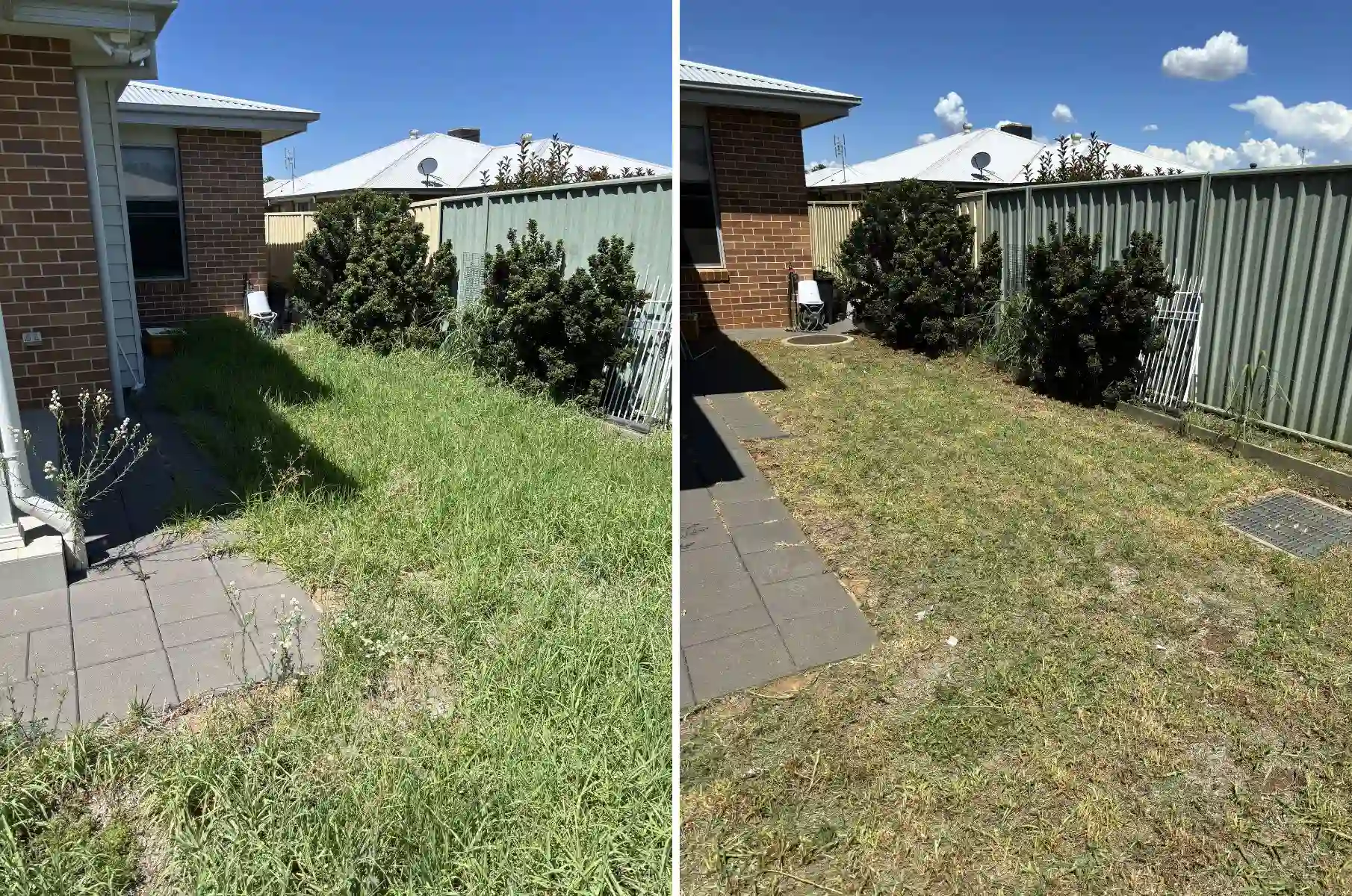 before and after backyard lawn cleanup and mowing in Dubbo NSW