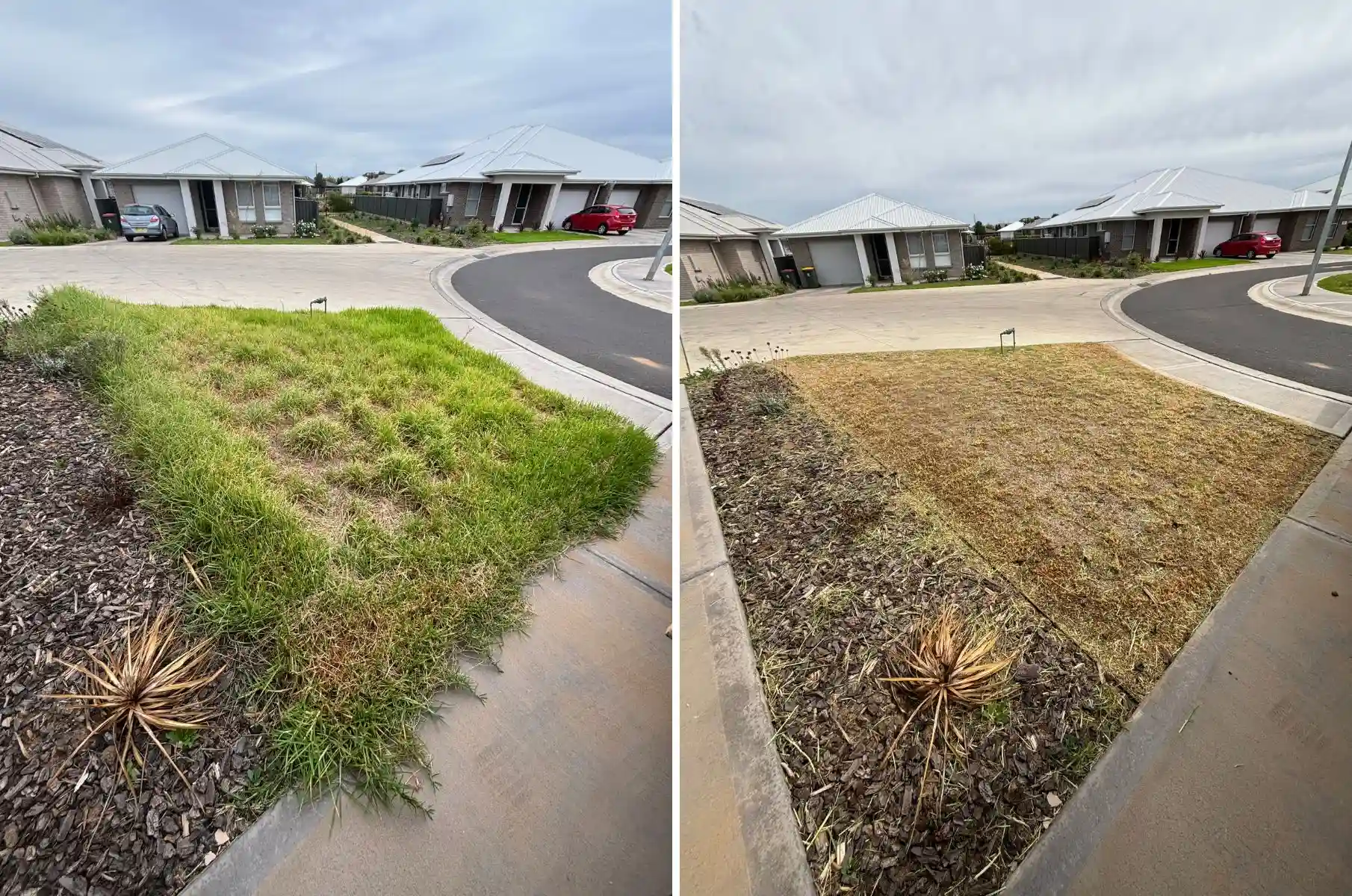 before and after overgrown lawn mowing on front verge in Dubbo NSW