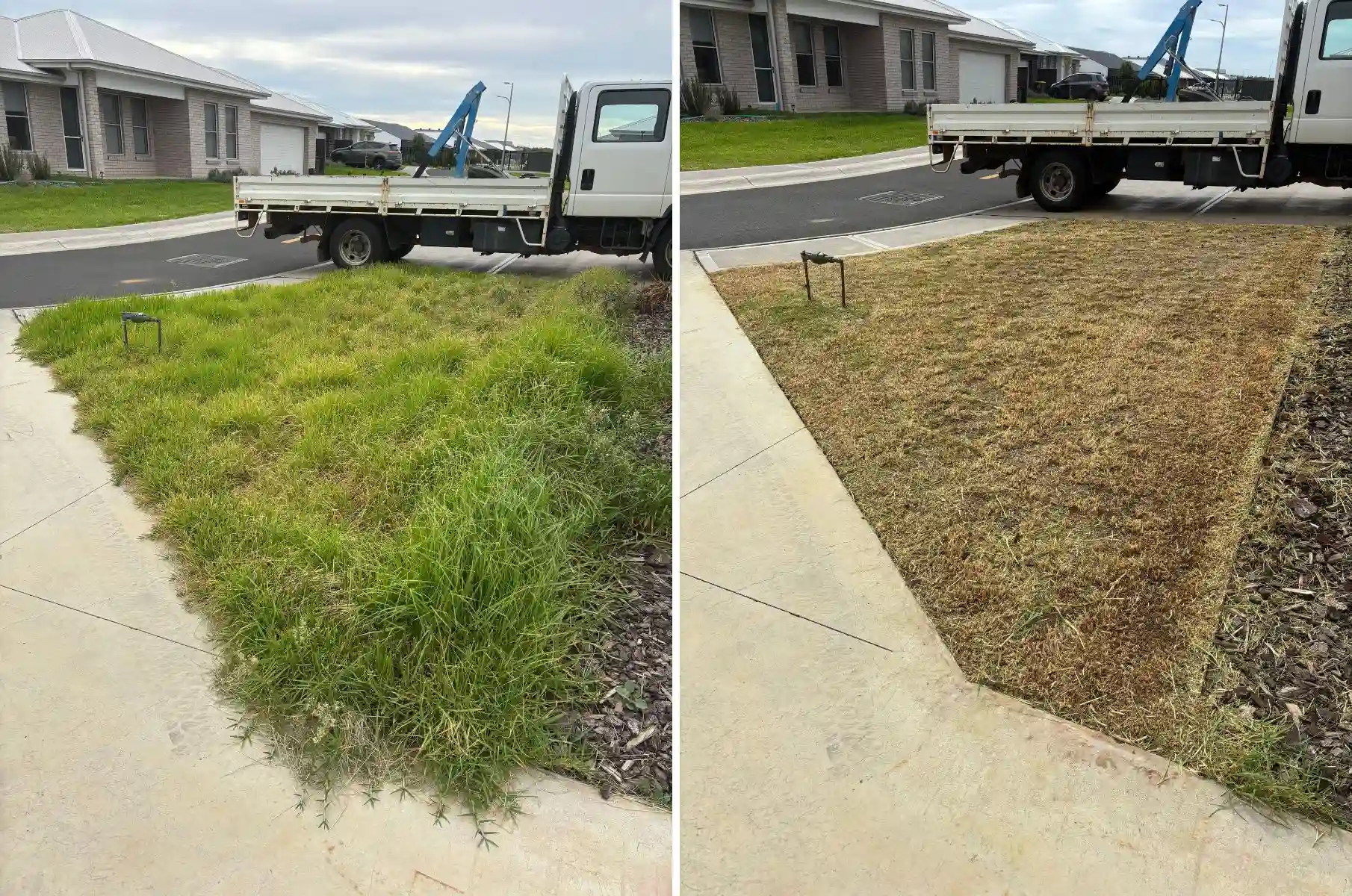 before and after knee-high grass cut and cleared in Dubbo NSW