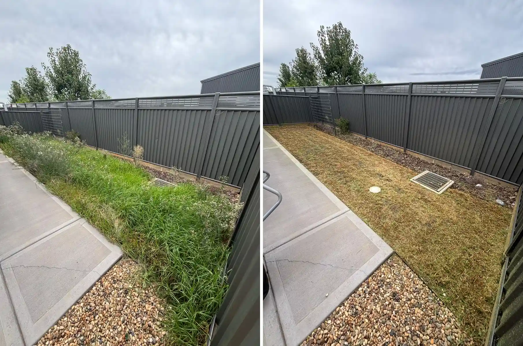 before and after overgrown grass cleared along fence line in Dubbo NSW