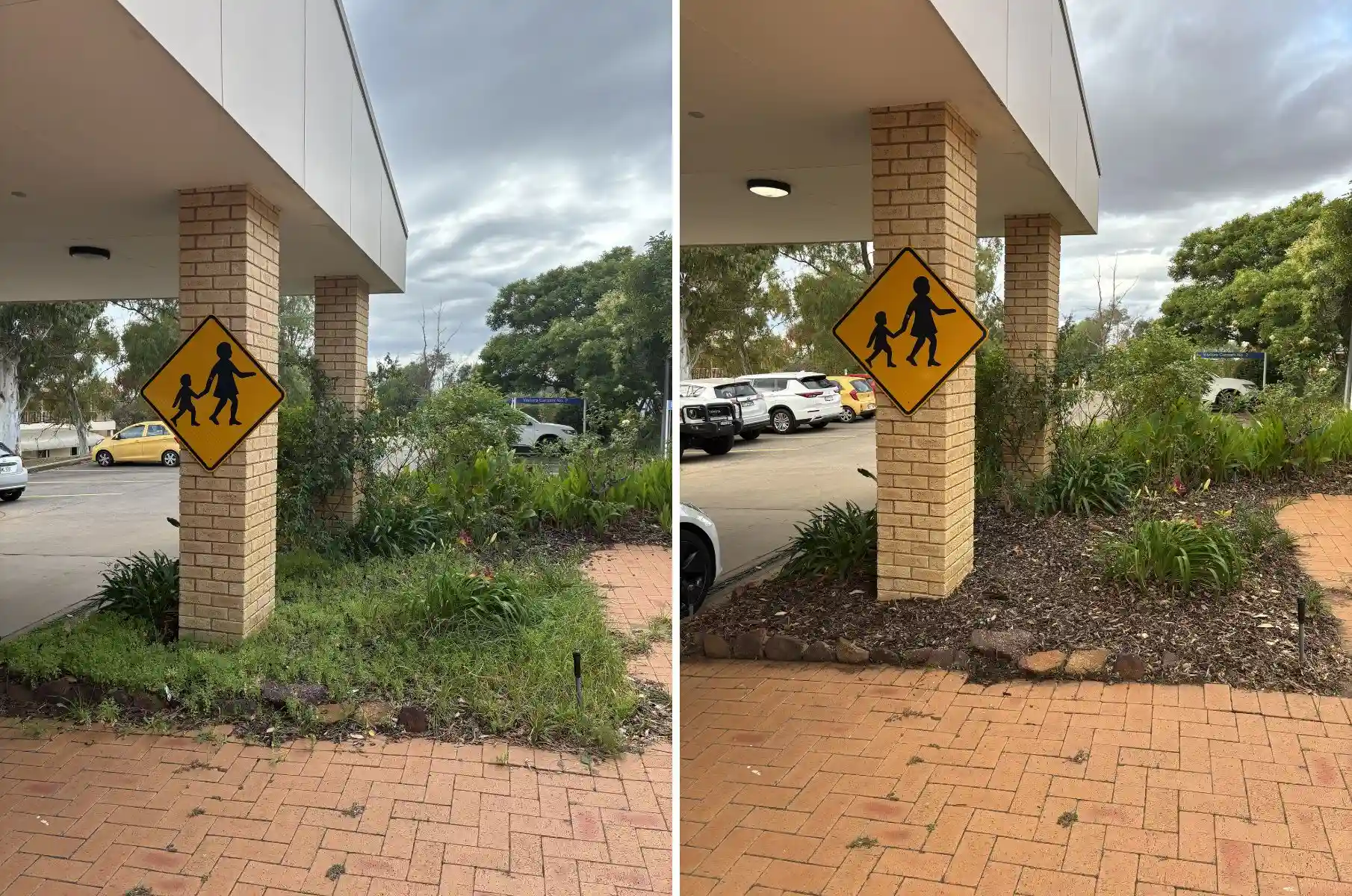 before and after large scale garden cleanup and restoration in Dubbo NSW