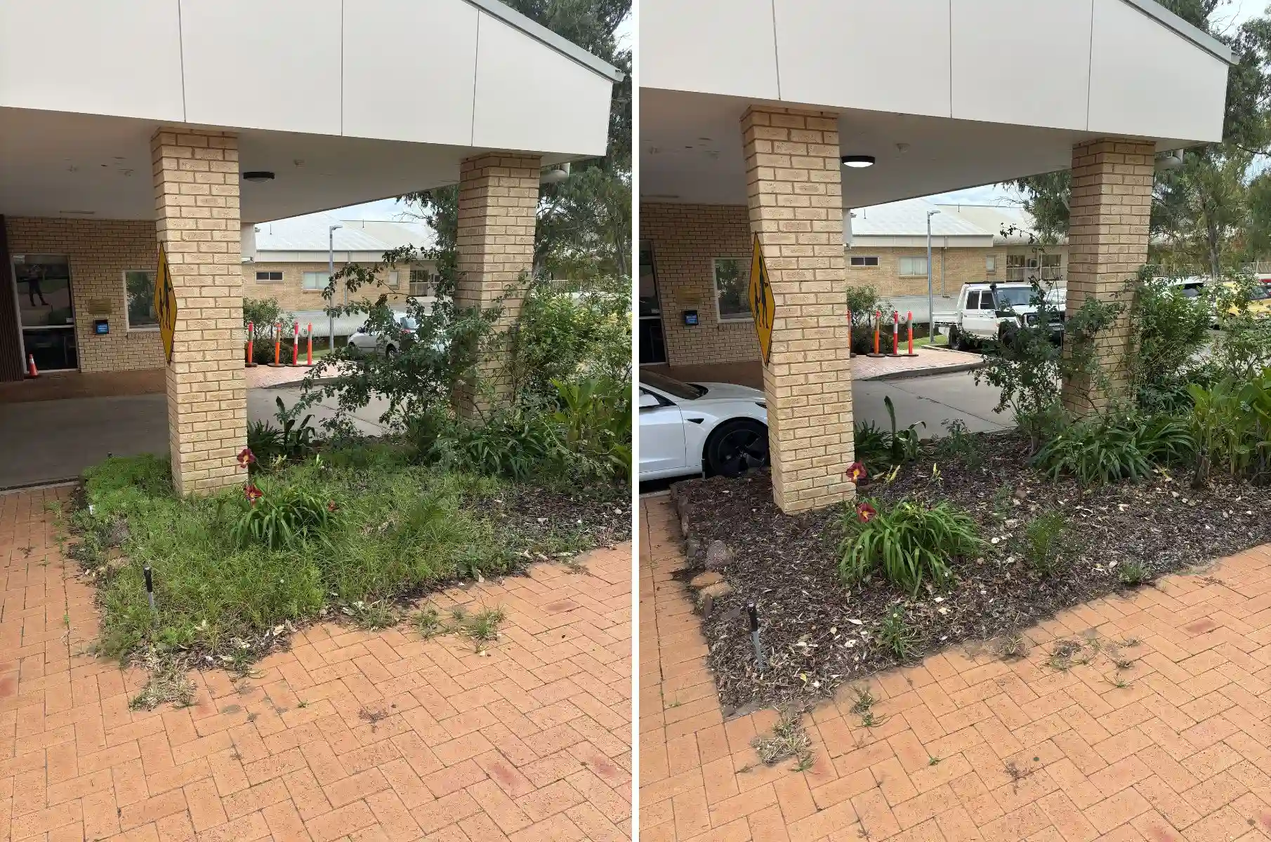 before and after large scale garden cleanup and restoration in Dubbo NSW
