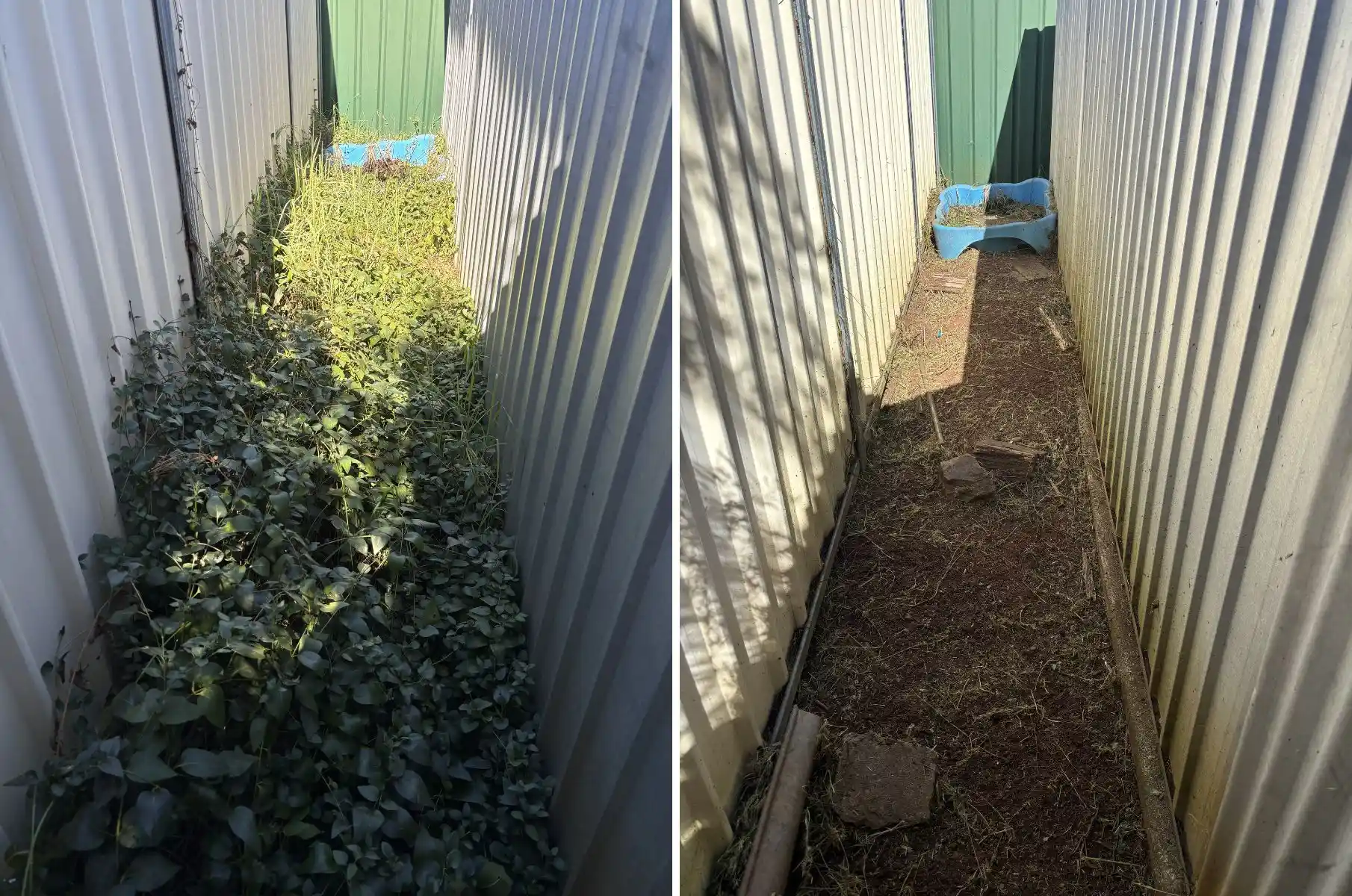 before and after large scale garden cleanup and restoration in Dubbo NSW